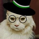 Кот редактора