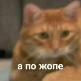 кекальная🐀