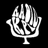 RadioKPI