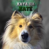 Ⲯυⳅⲏь Ⲭⲁⲧы ⲥ ⲕⲣⲉⲃⲉⲧⲕⲟύ