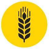 🌾 Зерновой Союз | Агрожурнал