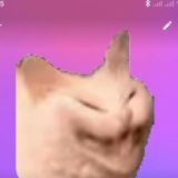 Комментарии ПранкерБот