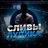 Сливы от Лудика