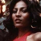 Алиса Таёжная в стране кино