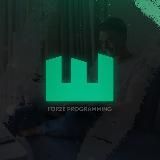 FORZE Программирование / IT