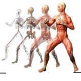 ❗ЛФК ФИТНЕС ДИЕТОЛОГИЯ РЕАБИЛИТАЦИЯ МАНУАЛЬНАЯ ТЕРАПИЯ БИОХИМИЯ АДАПТИВНАЯ