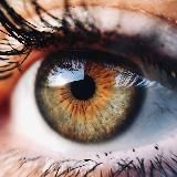 Zhulong.sól 🐲🐦🔥☯