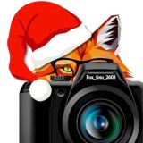 ✨ МАГИЯ ЛИЧНЫХ ПОЗДРАВЛЕНИЙ ✨