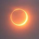 from Lisa with love -> price💋