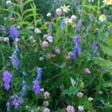 Всë и ни о чем