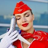 Дневник стюардессы