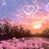 СТРАНА ЧУДЕС ❤️