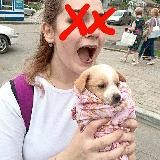 Бесплатный слив живодерки