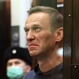 Сливы Навального