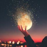 965 мыслей в неделю