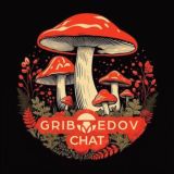 Griboedov 🍄 Chat 💬