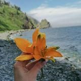 Идём в поход!