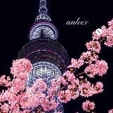 Сын маминой подруги/Совпадение ли это? Идеальная семья/ Страна чудес