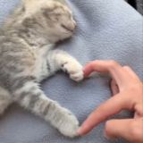 худеем с dgkrl Chat