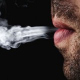 Табачная лавка.