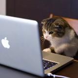 Удаленная работа для своих