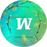 Чатик Мозгвичей