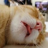 KINO SVOD | ФИЛЬМЫ АРХИВ