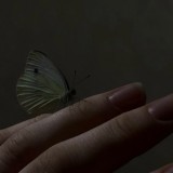 по мановски