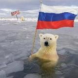 Витграсс - сок пшеницы 🌿