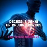 🟢 𝕃𝕍𝕆 - 𝕄𝕒𝕝𝕠𝕣𝕚 𝕖 𝕕𝕖𝕔𝕖𝕤𝕤𝕚 𝕚𝕞𝕡𝕣𝕠𝕧𝕧𝕚𝕤𝕚 𝕕𝕒 𝕧𝕒𝕔𝕔𝕚𝕟𝕚 ℂ𝕠𝕧𝕚𝕕 🟢