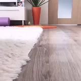 Папук поцупив🦜