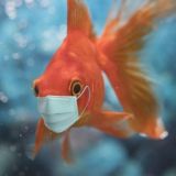 🦎Аквариум мое хобби🐠