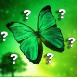 ЧАТ | MakeProfit 💚