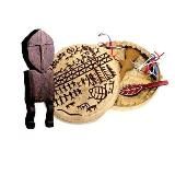 Территория Сибири: экскурсии и путешествия