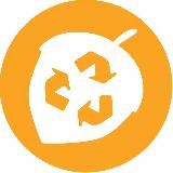 Зелёная белка