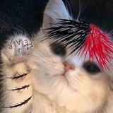 блуждающие души