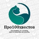 PRO100объявления