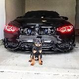 Серые СХЕМЫ || ТЕМКИ|| Денежный поток 3.0