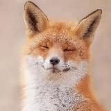 Мимимишность😻