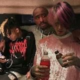 Алкоголь - ты моё всё