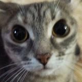 КОНКУРСЫ!! & Мани лучший)