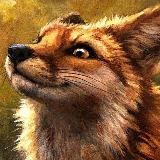 коллективная ирина ильина