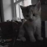 D𝘰𝘭𝘮𝘪𝘹𝘹 𝘴𝘩𝘰𝘱༉‧₊˚.𝗚𝗙𝗫 & 𝗣𝗢𝗦𝗜𝗡𝗚𝗦