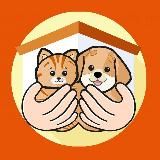 Помощь Приютам (Хатико)