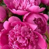 Визуал сторис