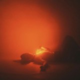 шёпот сердца