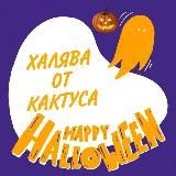 ХАЛЯВА ОТ КАКТУСА