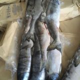 Рыбный Рынок России