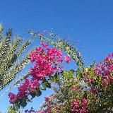 Theresias Lichtreisen 💖 ✨