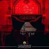 محسن فاطمة😔